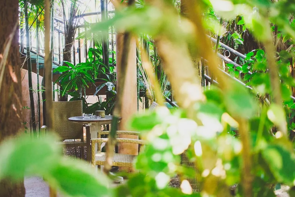 Cocos Cabanas Playa Del Carmen Adults Only Μεξικό